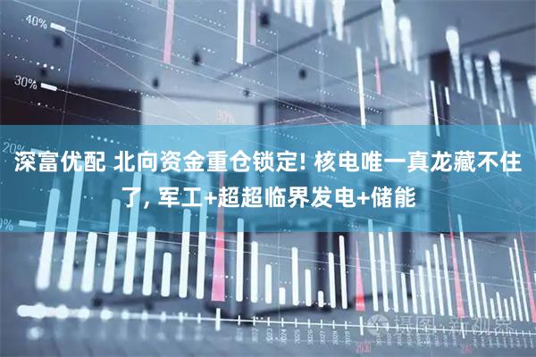 深富优配 北向资金重仓锁定! 核电唯一真龙藏不住了, 军工+超超临界发电+储能