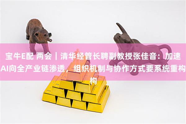 宝牛E配 两会｜清华经管长聘副教授张佳音：加速AI向全产业链渗透，组织机制与协作方式要系统重构