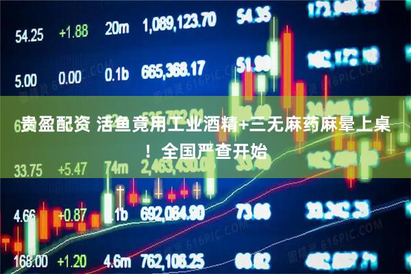 贵盈配资 活鱼竟用工业酒精+三无麻药麻晕上桌！全国严查开始