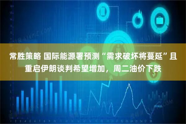 常胜策略 国际能源署预测“需求破坏将蔓延”且重启伊朗谈判希望增加，周二油价下跌
