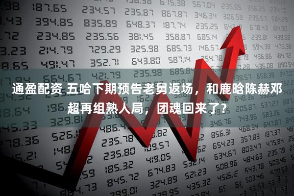 通盈配资 五哈下期预告老舅返场，和鹿晗陈赫邓超再组熟人局，团魂回来了？