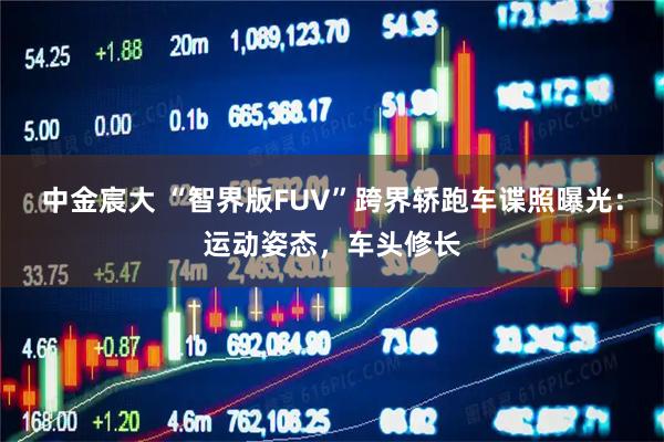 中金宸大 “智界版FUV”跨界轿跑车谍照曝光：运动姿态，车头修长