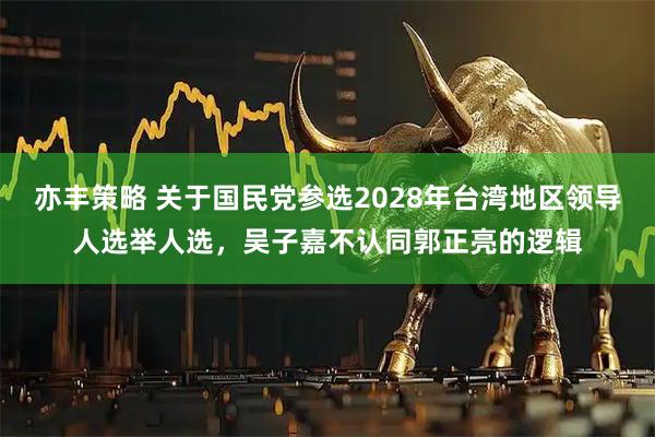亦丰策略 关于国民党参选2028年台湾地区领导人选举人选，吴子嘉不认同郭正亮的逻辑