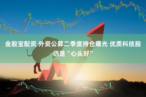 金股宝配资 外资公募二季度持仓曝光 优质科技股仍是“心头好”
