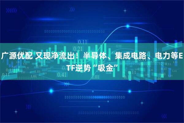 广源优配 又现净流出！半导体、集成电路、电力等ETF逆势“吸金”