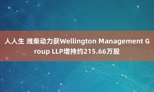 人人生 潍柴动力获Wellington Management Group LLP增持约215.66万股