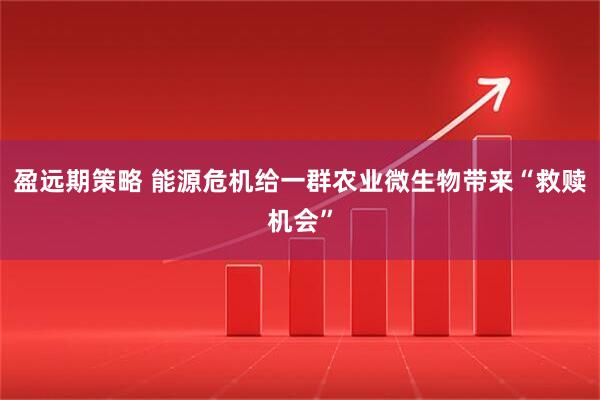 盈远期策略 能源危机给一群农业微生物带来“救赎机会”