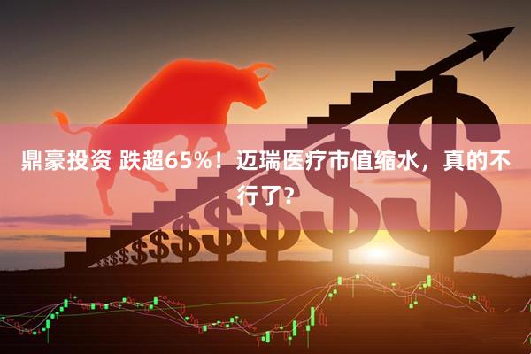 鼎豪投资 跌超65%！迈瑞医疗市值缩水，真的不行了？