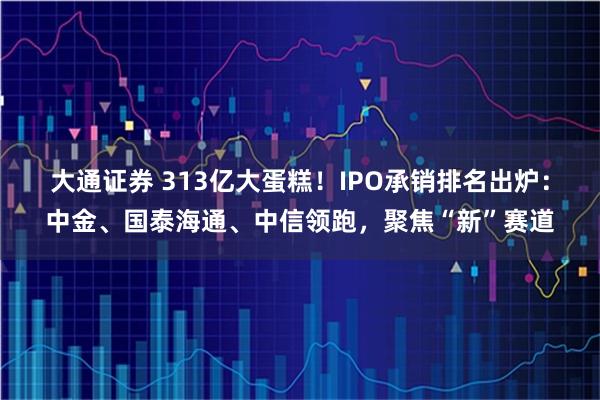 大通证券 313亿大蛋糕！IPO承销排名出炉：中金、国泰海通、中信领跑，聚焦“新”赛道