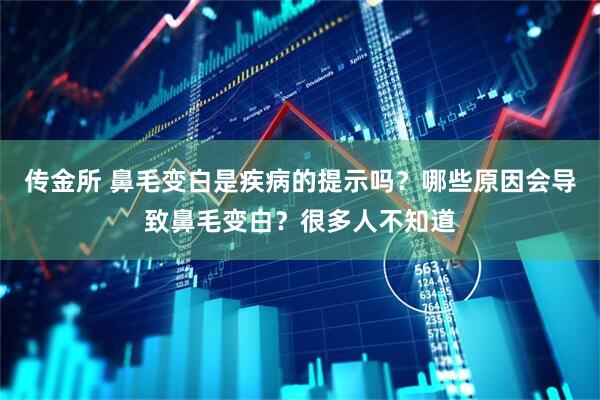 传金所 鼻毛变白是疾病的提示吗？哪些原因会导致鼻毛变白？很多人不知道