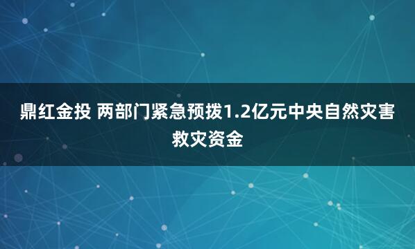 鼎红金投 两部门紧急预拨1.2亿元中央自然灾害救灾资金