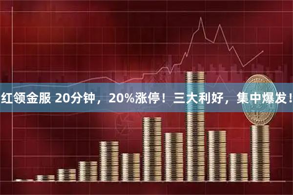 红领金服 20分钟，20%涨停！三大利好，集中爆发！