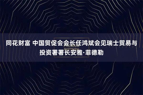 同花财富 中国贸促会会长任鸿斌会见瑞士贸易与投资署署长安雅·菲德勒